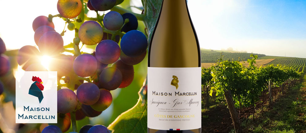 Maison Marcellin / Gascogne